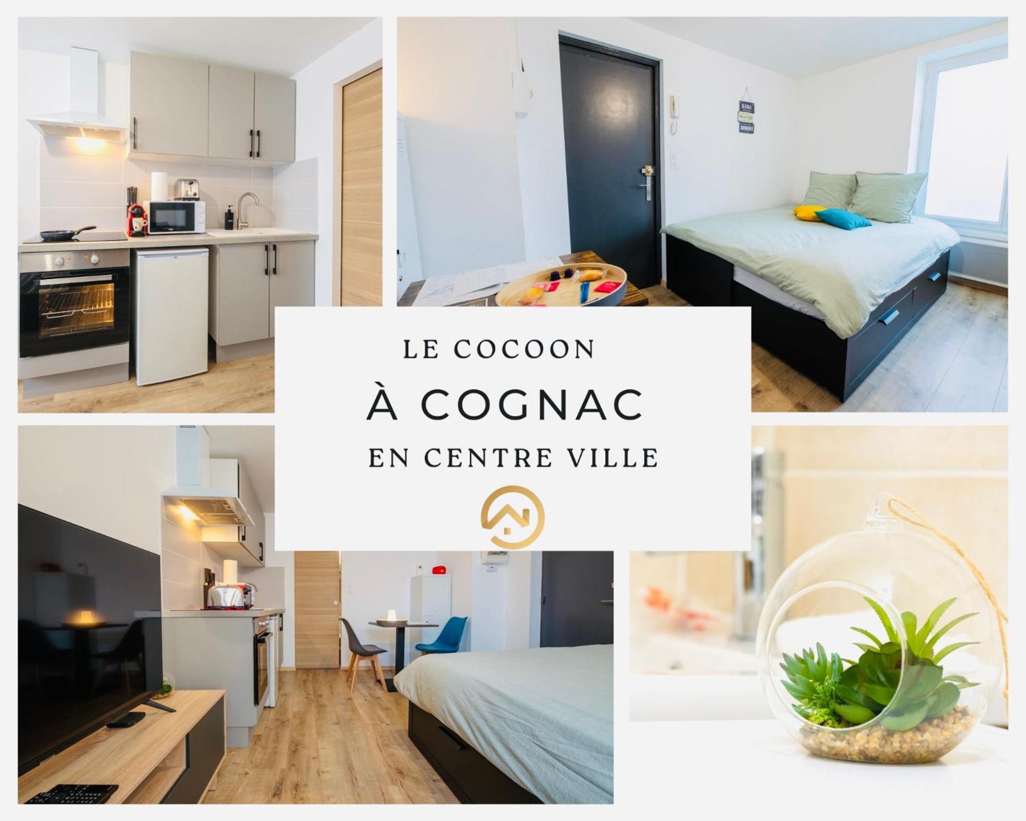 Cocoon #rdc #biendormiracognac Apartment Cognac